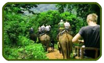 chitwan