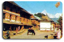 Pokhara Tour